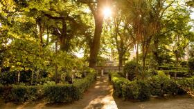 jardín de San Carlos