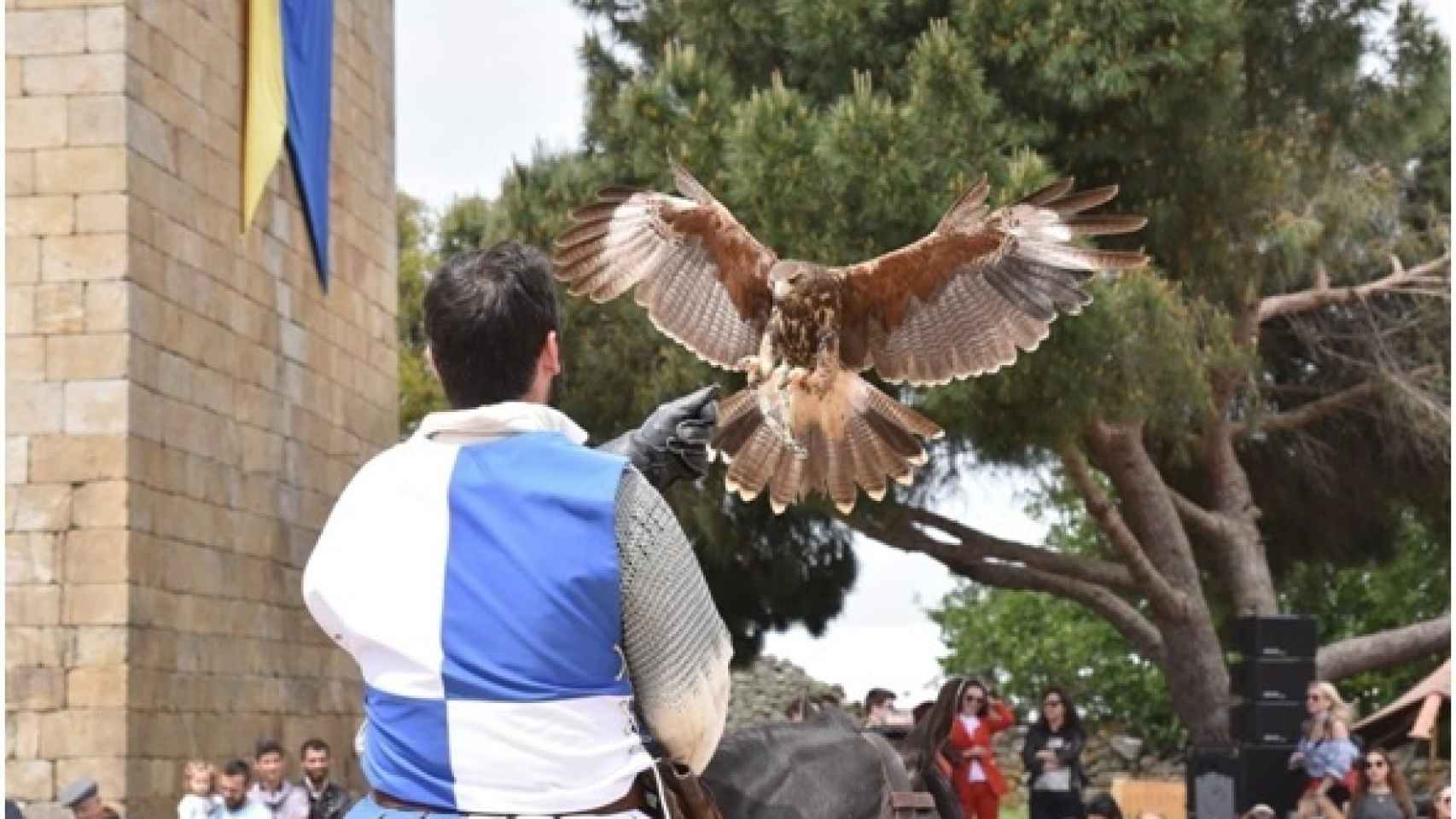 El vuelo del halcón, emblema de Pinhel