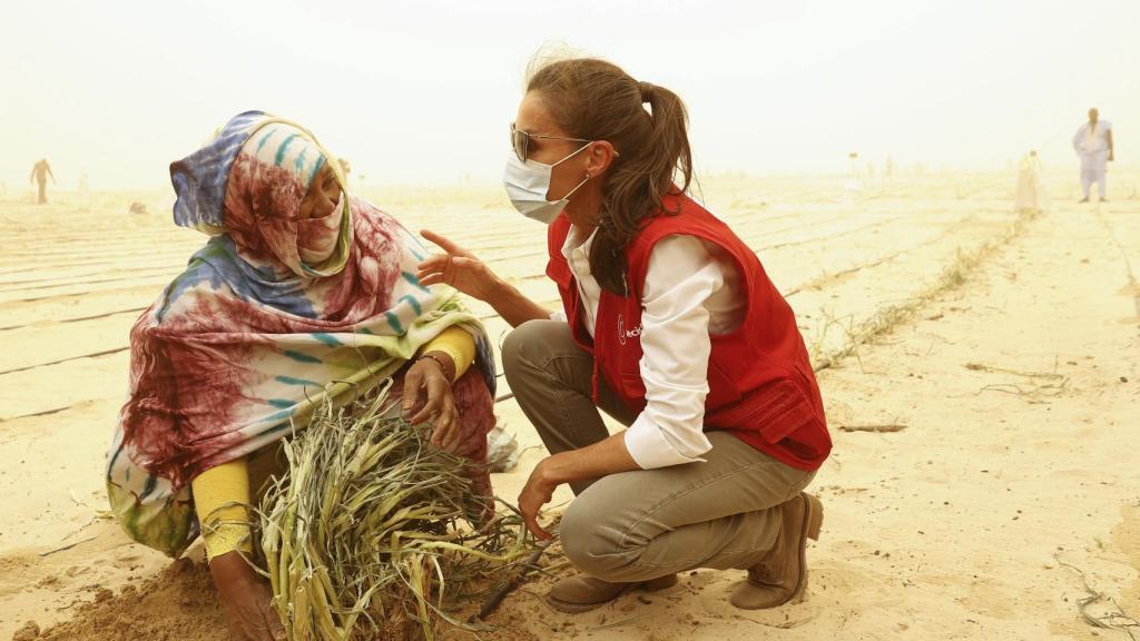 La reina Letizia durante su viaje de cooperación a Mauritania.