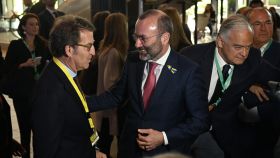 Manfred Weber, presidente del EPP, se acerca a saludar a Alberto Núñez Feijóo, en el congreso de Rotterdam.