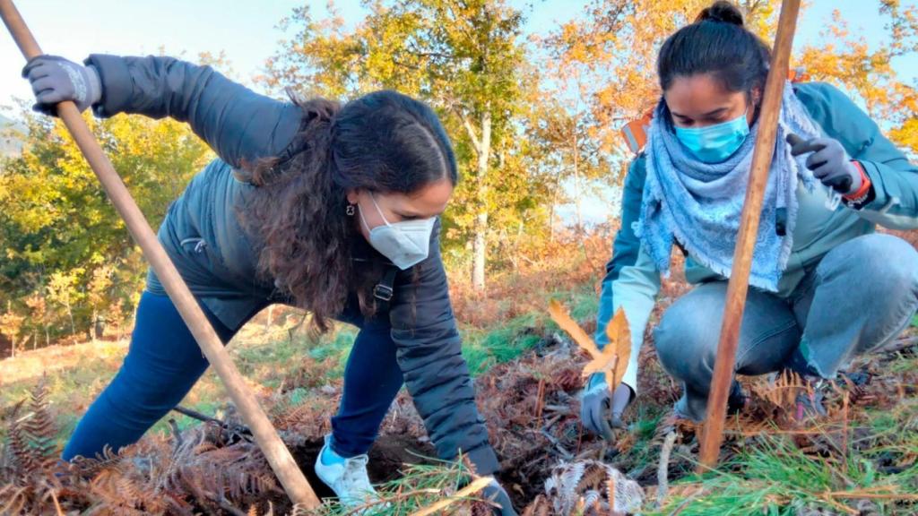 La sostenibilidad ambiental, un valor irrenunciable en el sector gallego de la alimentación