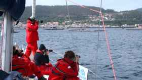 Tres décadas de la Cemma: los guardianes de los mamíferos marinos en las costas de Galicia