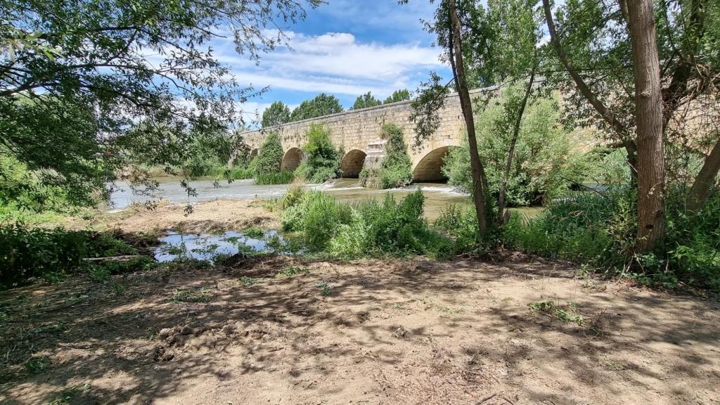 El río Carrión a su paso por la localidad palentina de Villamuriel de Cerrato