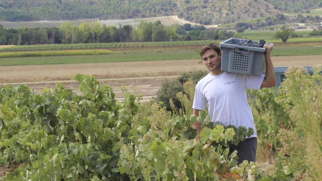 Pablo Nieto, creador de La Lagareta