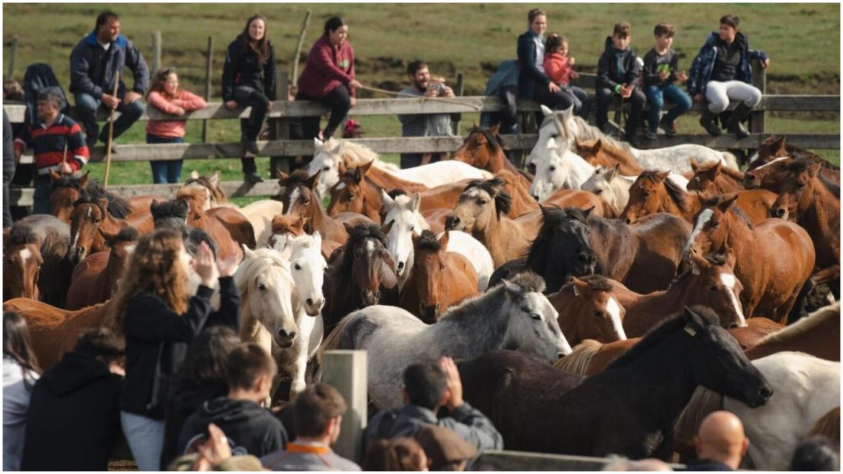 Imagen del rodaje de Rapa.