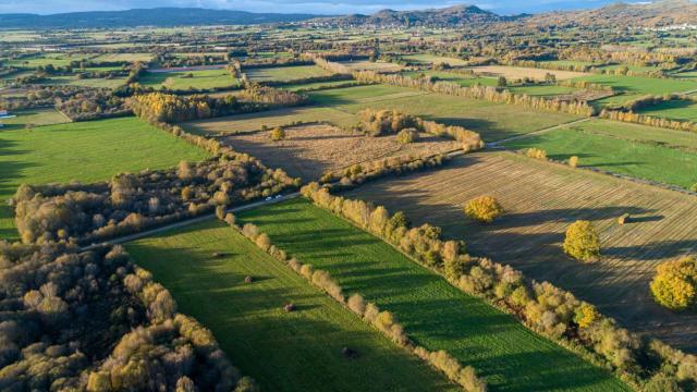 Campos de cultivo en A Limia, Ourense.