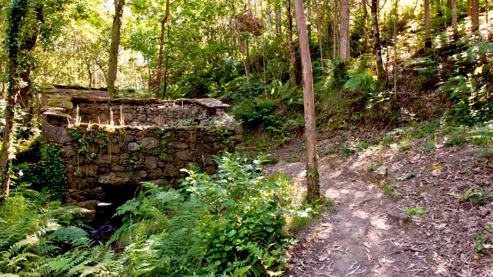 Molinos del río Medio