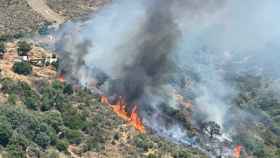 Incendio forestal en Marbella.
