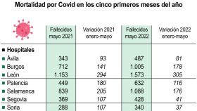 Fallecidos por Covid en Castilla y León entre enero y mayo