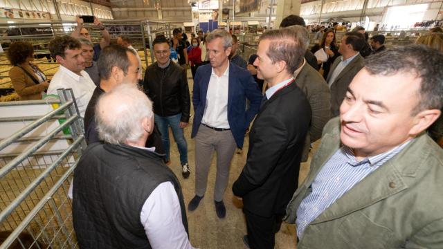 Alfonso Rueda durante su visita a la Feira Internacional Abanca Semana Verde de Galicia.