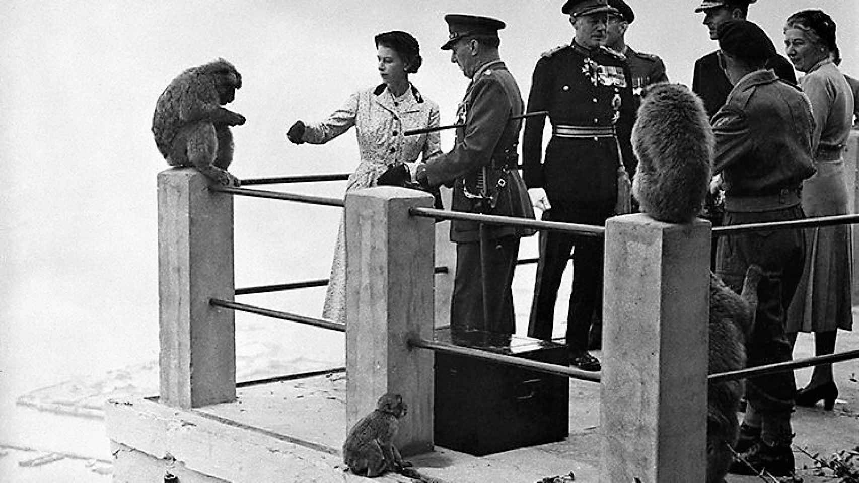 La reina Isabel II, con los monos de Gibraltar, en su histórica visita al Peñón del 10 y 11 de mayo de 1954.