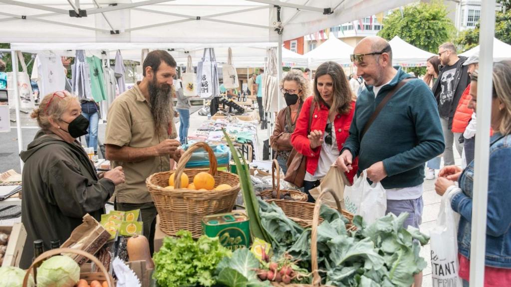 Celebración del Día Mundial del Medio Ambiente en el Campo da Leña.