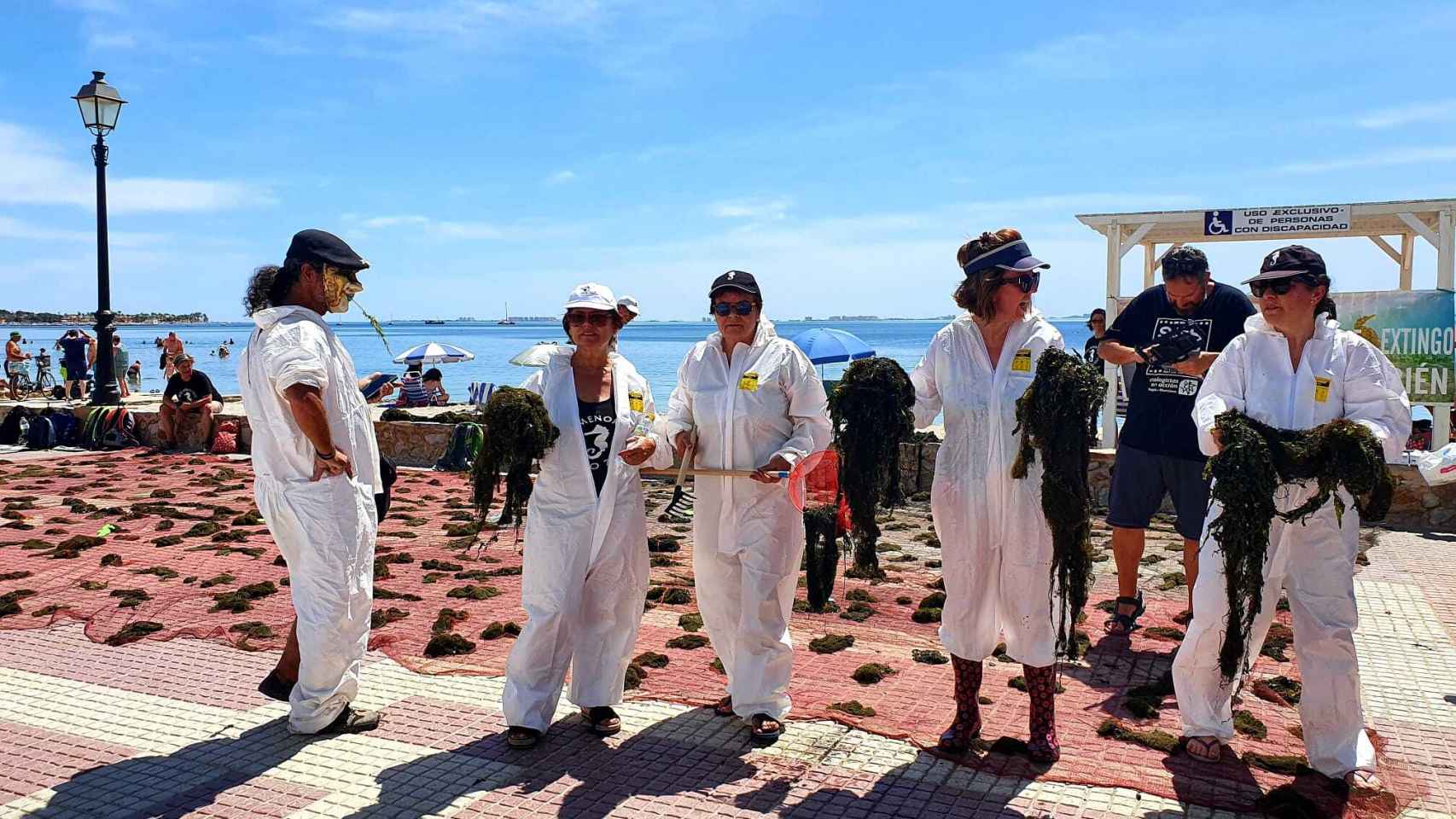 Ecologistas y activistas, este domingo, en una recogida simbólica de algas que organizaron para visibilizar la 'sopa verde' del Mar Menor.