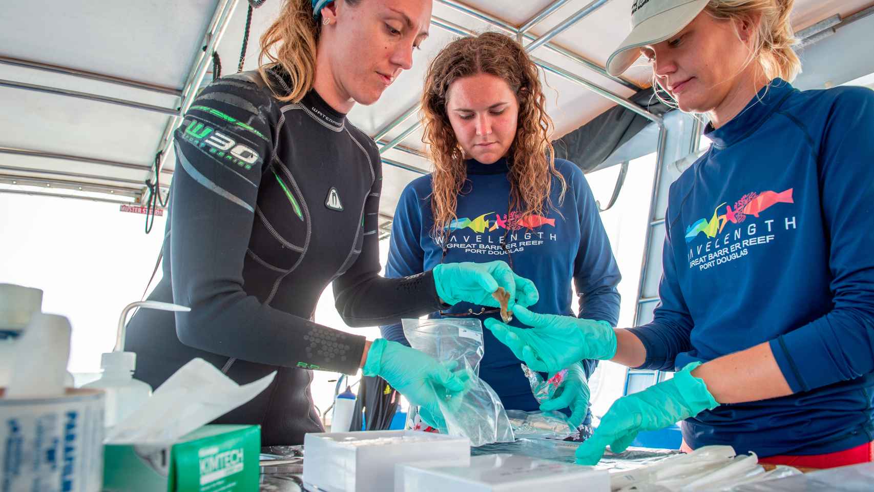 Emma Camp (a la izquierda) y el equipo del operador turístico Wavelength preparando muestras de corales.
