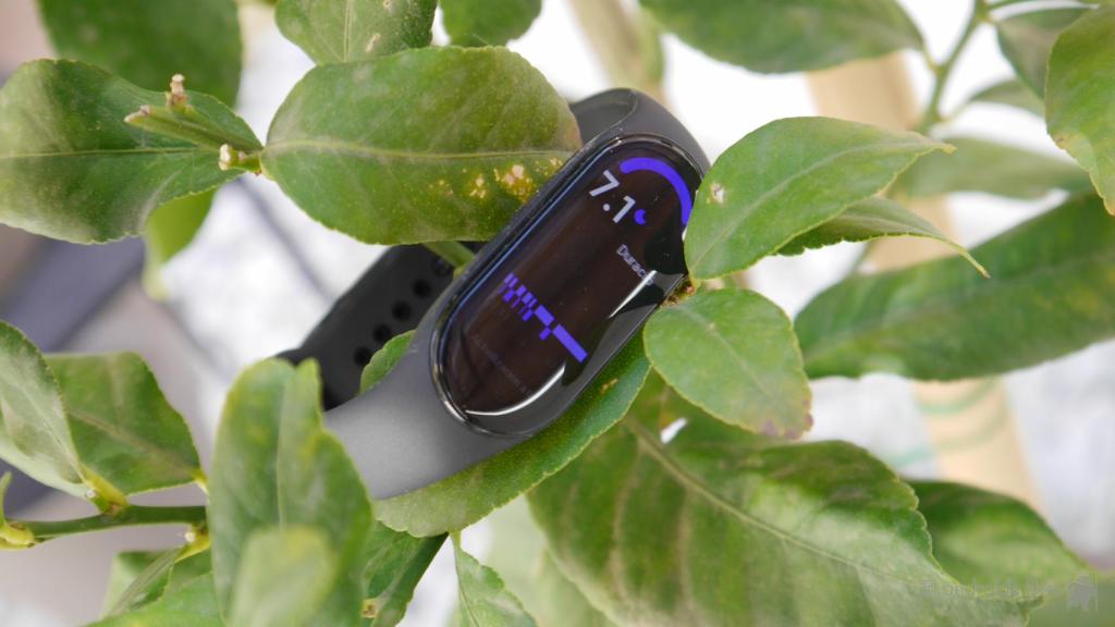 Xiaomi Smart Band 7