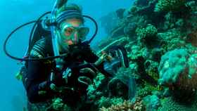 La bióloga marina Emma Camp recogiendo una muestra de una colonia de corales sanos en Australia.
