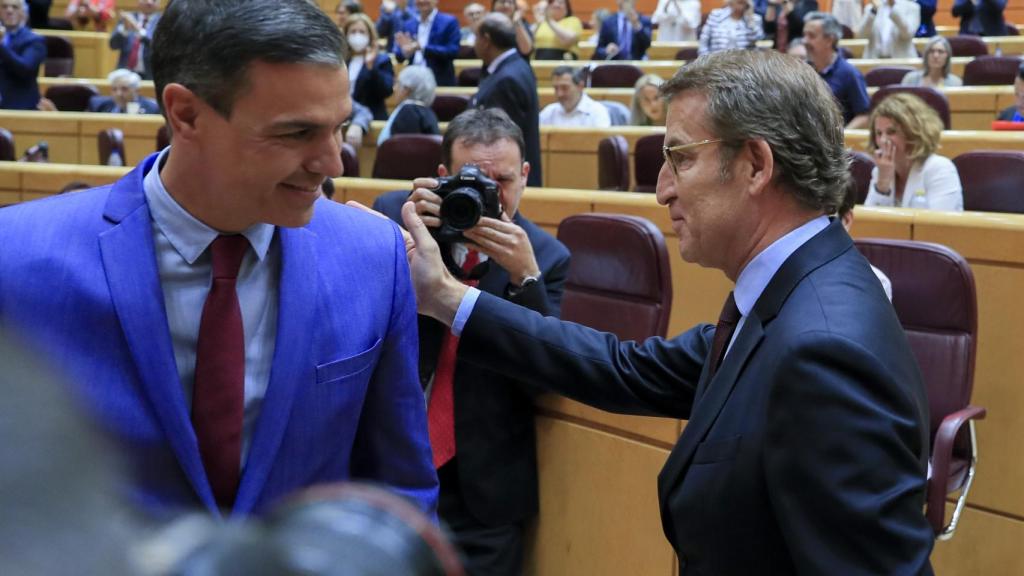 Pedro Sánchez, presidente del Gobierno, y Alberto Núñez Feijóo, presidente del PP, en el Senado.