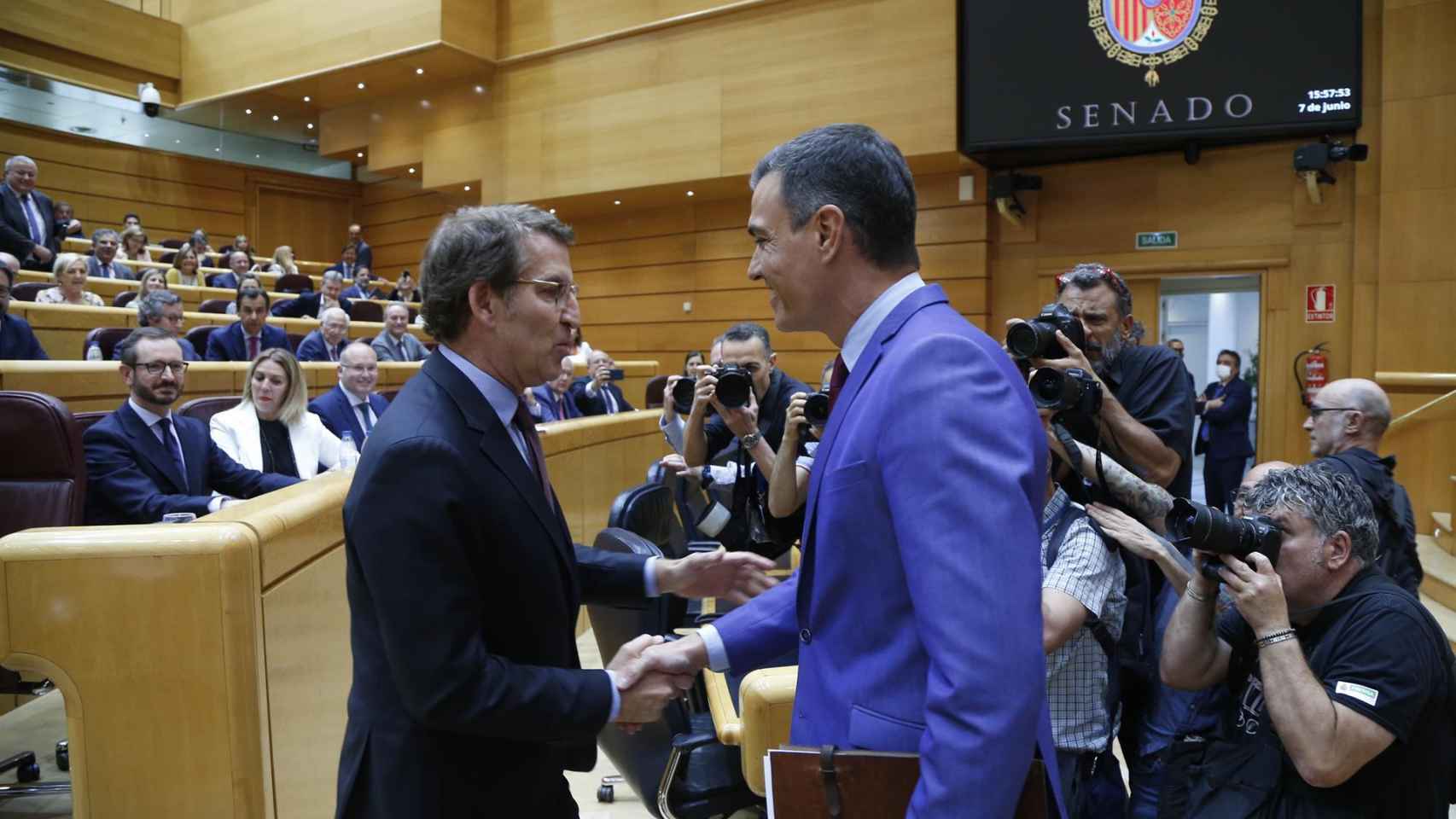 Alberto Núñez Feijóo y Pedro Sánchez se saludan en el Senado el pasado junio.
