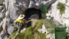 Los agentes medioambientales trabajan en la cueva donde se refugia la osa despeñada en la Montaña Palentina