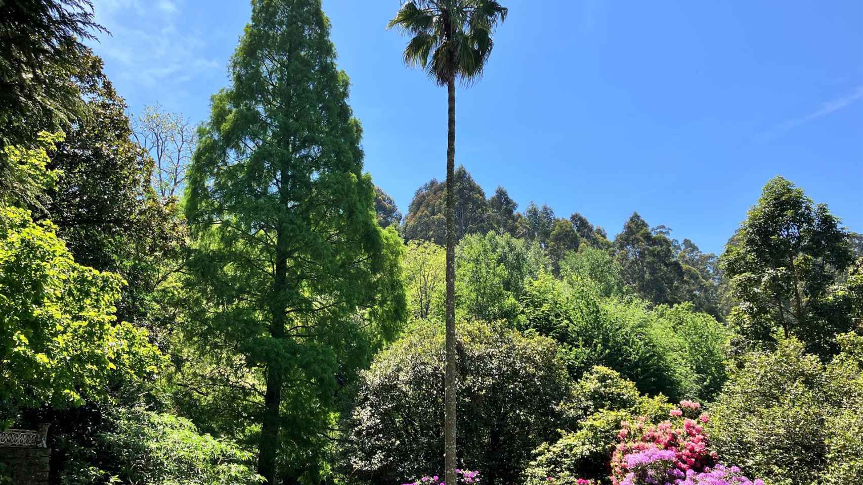 El jardín botánico de Lourizán, distinguido por la Asociación Ibero-Macaronésica de Jardines Botánicos.