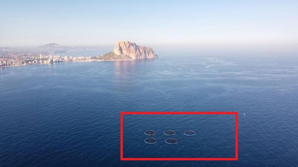 Las jaulas al lado del Peñón de Ifach en Calpe.