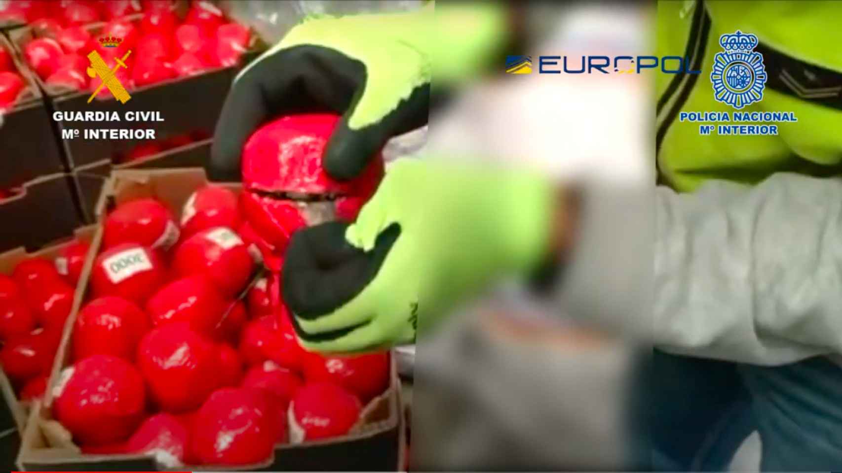 Cajas de falsos tomates en las que viajaba la droga.