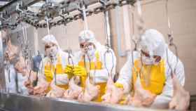 Un grupo de trabajadores en una fábrica de pollos