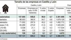 Tamaño de las empresas en Castilla y León