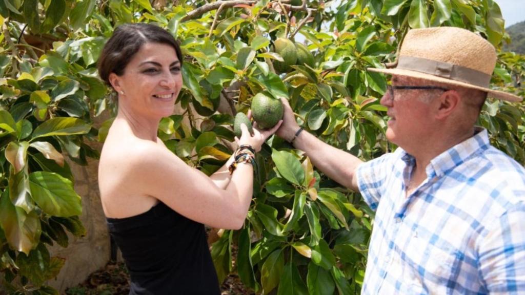 Macarena Olona en una visita a una plantación de aguacates durante este campaña electoral.