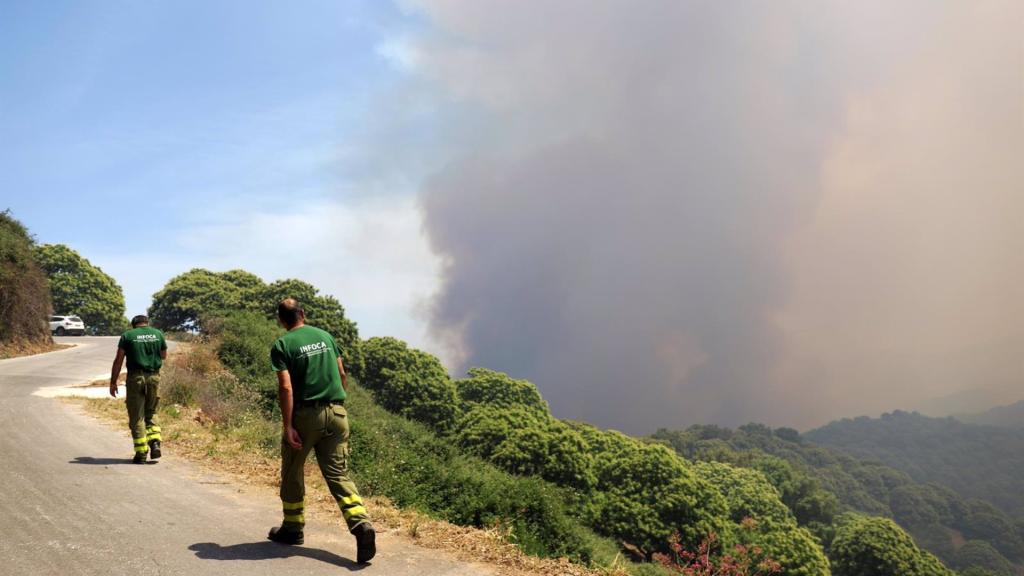 Una imagen del incendio de Pujerra (Málaga).