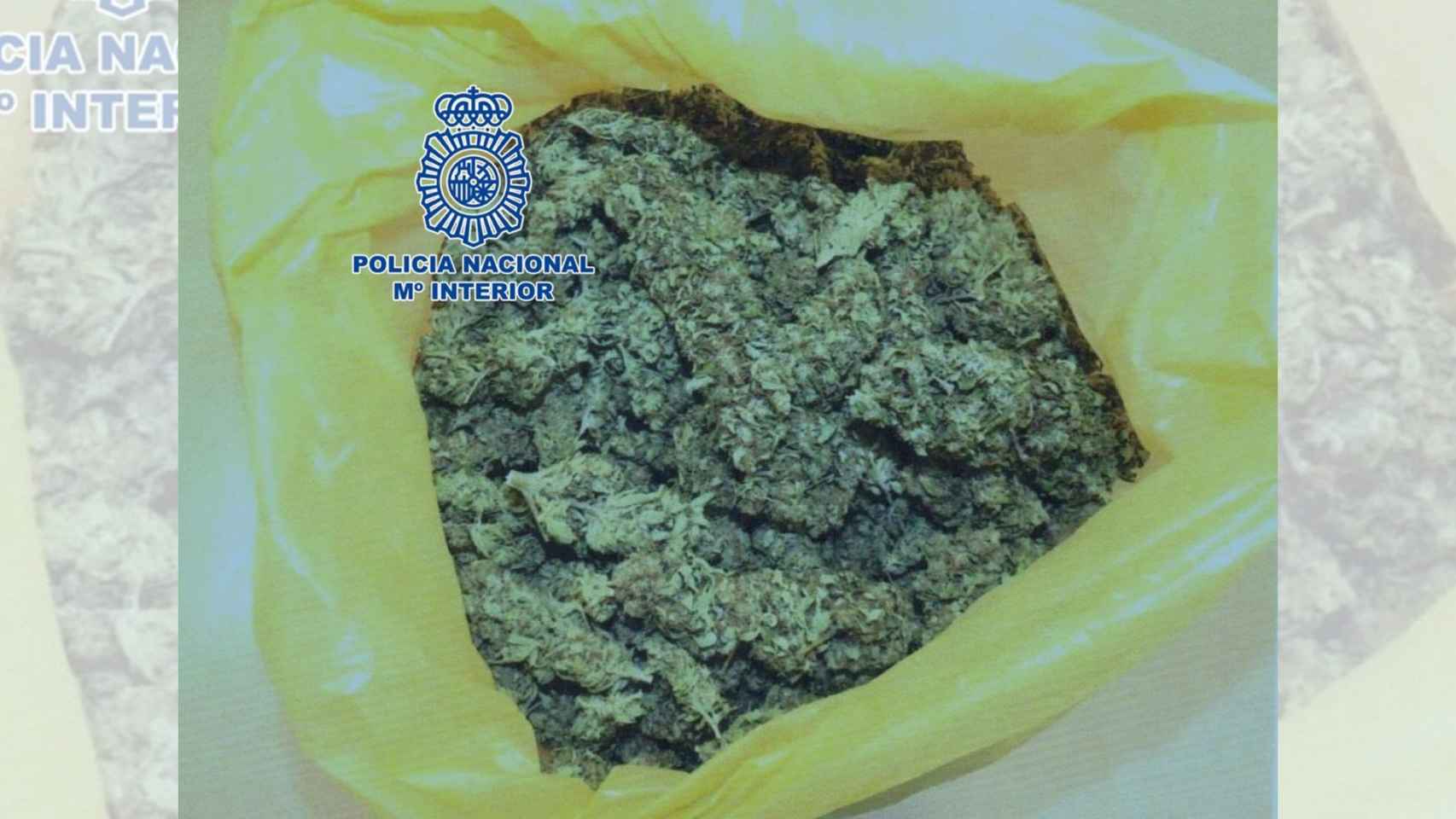 Marihuana incautada en Vilagarcía de Arousa.