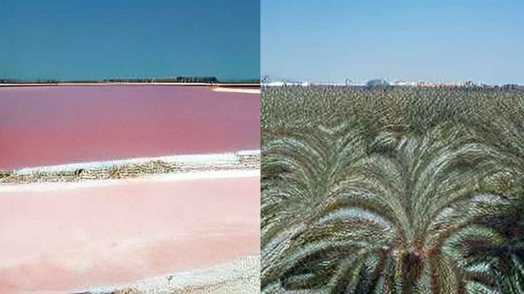 Dall-e Mini interpreta la laguna rosa de Torrevieja y el palmeral de Elche.