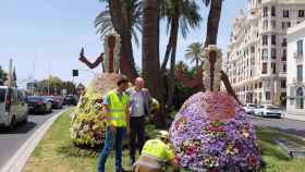 Las esculturas florales que ya lucen en Alicante.