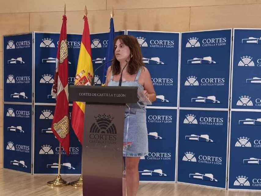 La viceportavoz del Grupo Socialista en las Cortes, Patricia Gómez Urbán, en su intervención de este jueves.