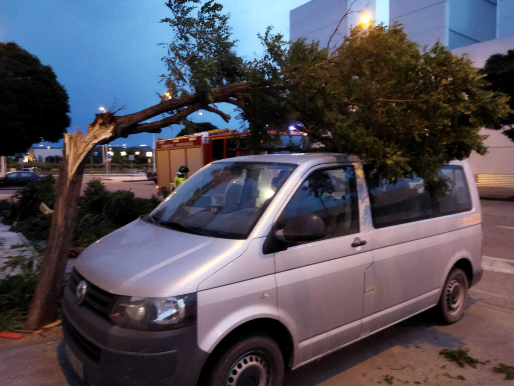 Una rama cae durante la tormenta sobre un vehículo en Ponferrada.