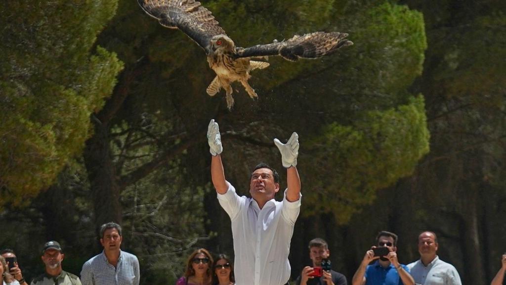 Juanma Moreno, en un acto de campaña volando aves rapaces.