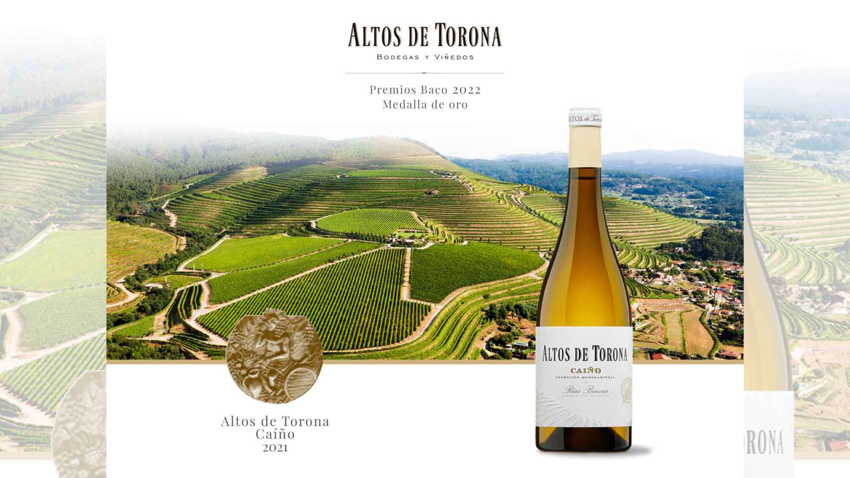 El vino gallego Altos de Torona Caiño, primer Caiño Blanco de España con un Baco de Oro