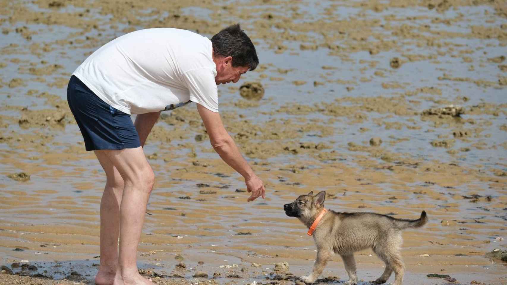 El candidato de Ciudadanos, Juan Marín, pasea con su perra por playa de Sanlúcar de Barrameda.
