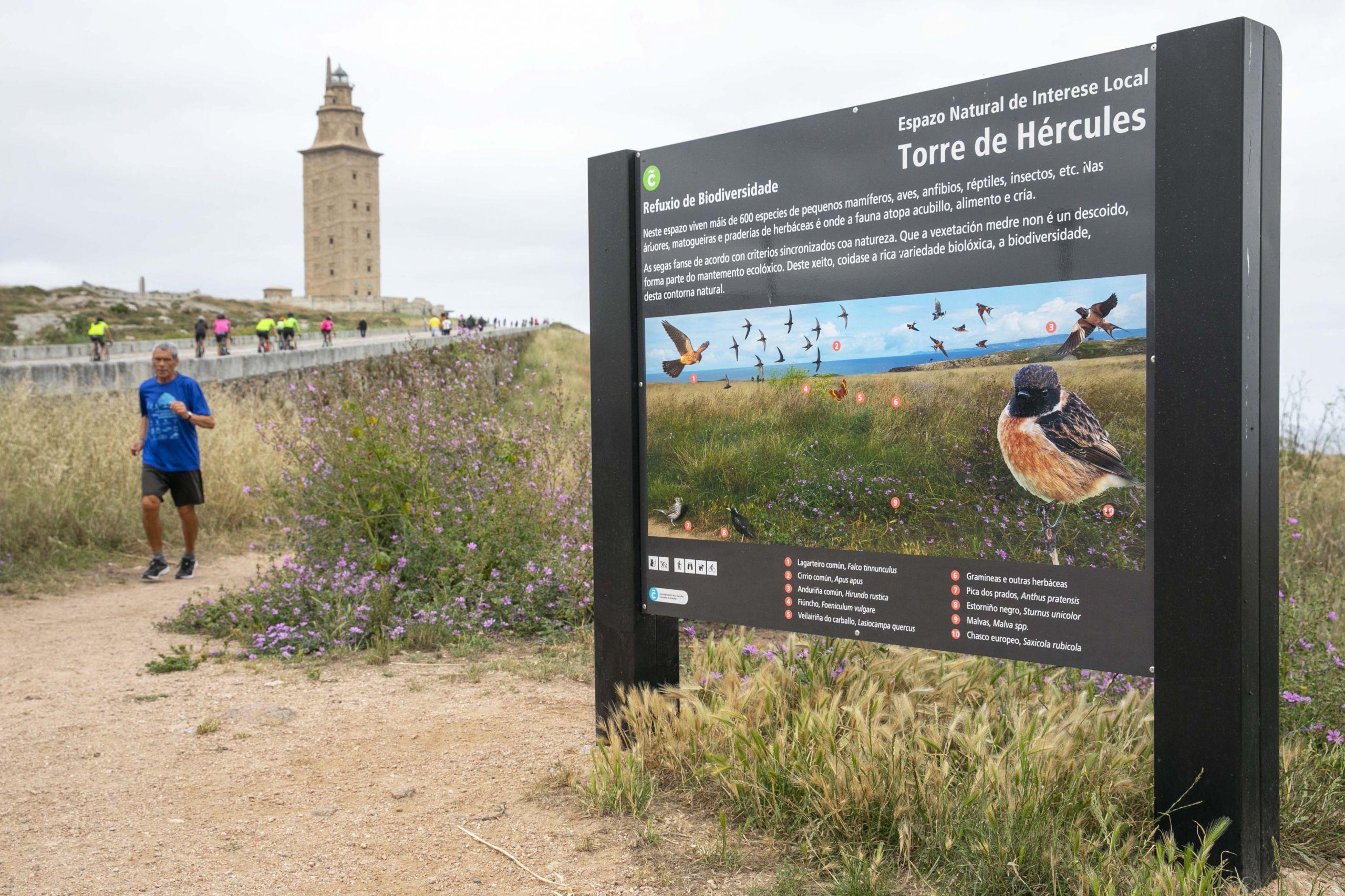 Uno de los paneles interpretativos en las inmediaciones de la Torre de Hércules (Concello da Coruña).