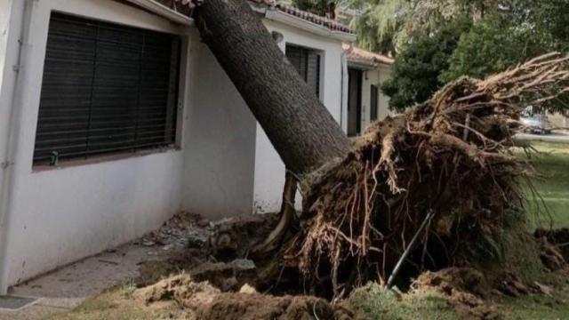 Impactante imagen del rastro dejado por la fuerte tormenta de este sábado en Guadalajara.