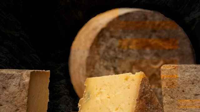 Los 26 mejores quesos de España