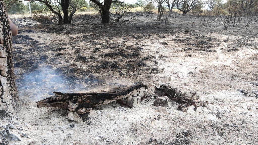 Incendio en la sierra de la Sierra de la culebra