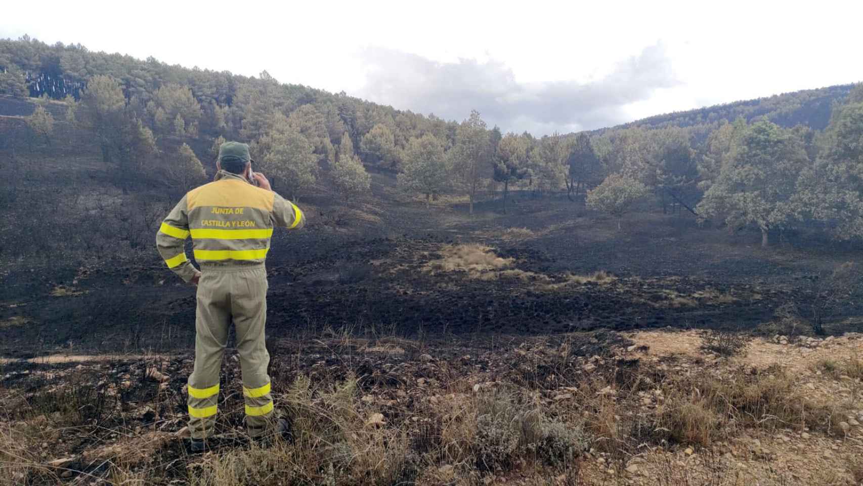 Un trabajador contempla las consecuencias del incendio en la Sierra de la Culebra, en Zamora.