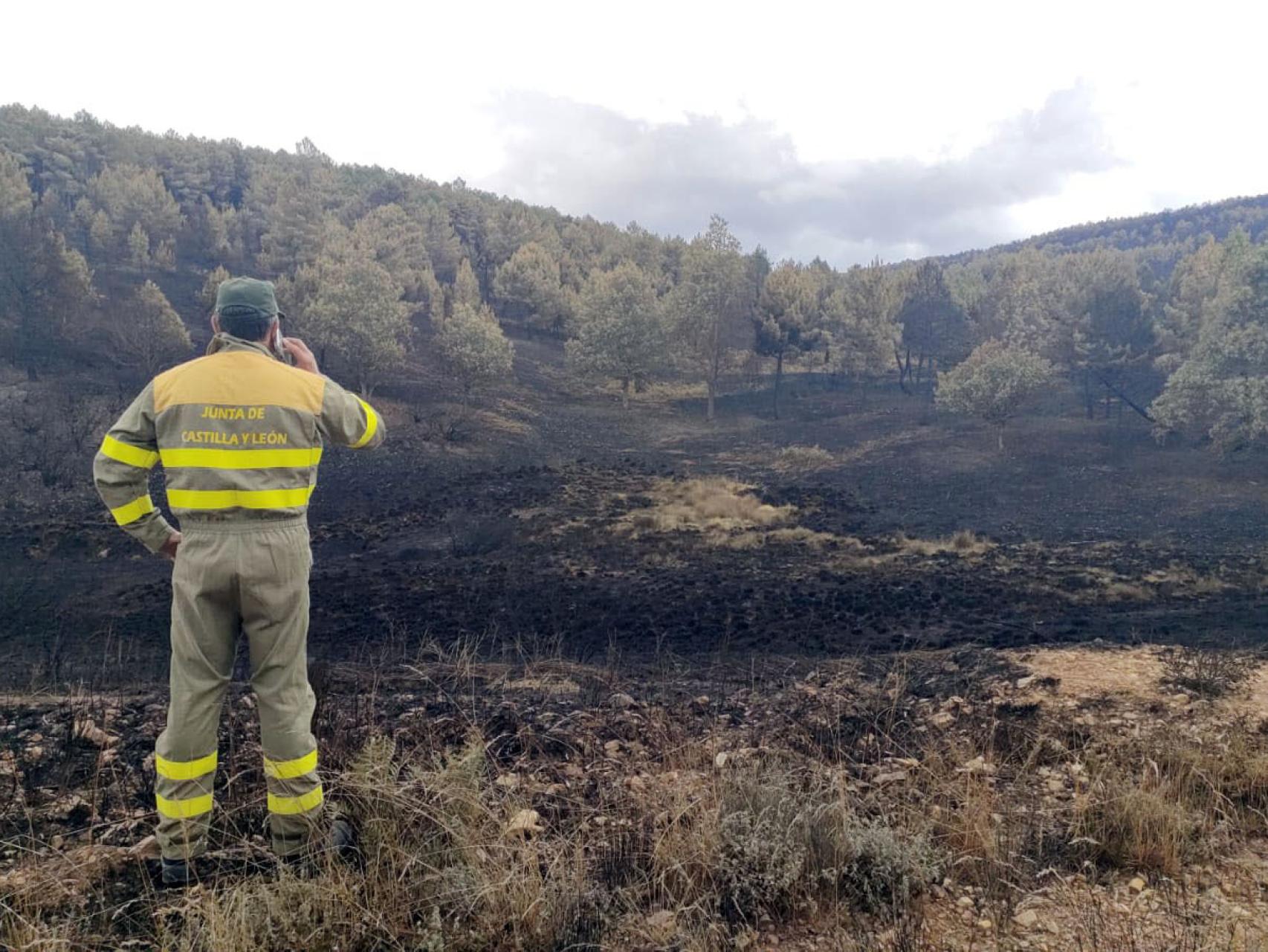 Un trabajador contempla las consecuencias del incendio en la Sierra de la Culebra, en Zamora.