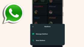 Whatsapp dejará silenciar a contactos en las llamadas de grupo.