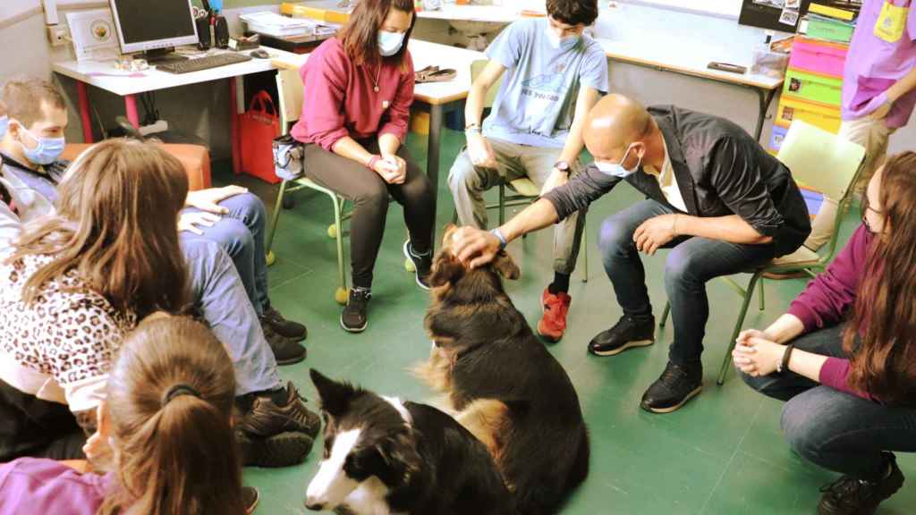 Los perros durante una de las sesiones de terapia.