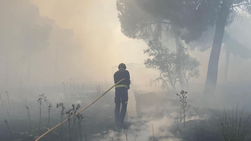 Incendio forestal en San Miguel del Pino
