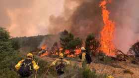 Efectivos luchando contra el fuego de la Sierra de la Culebra