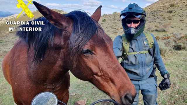 La Guardia Civil con un caballo