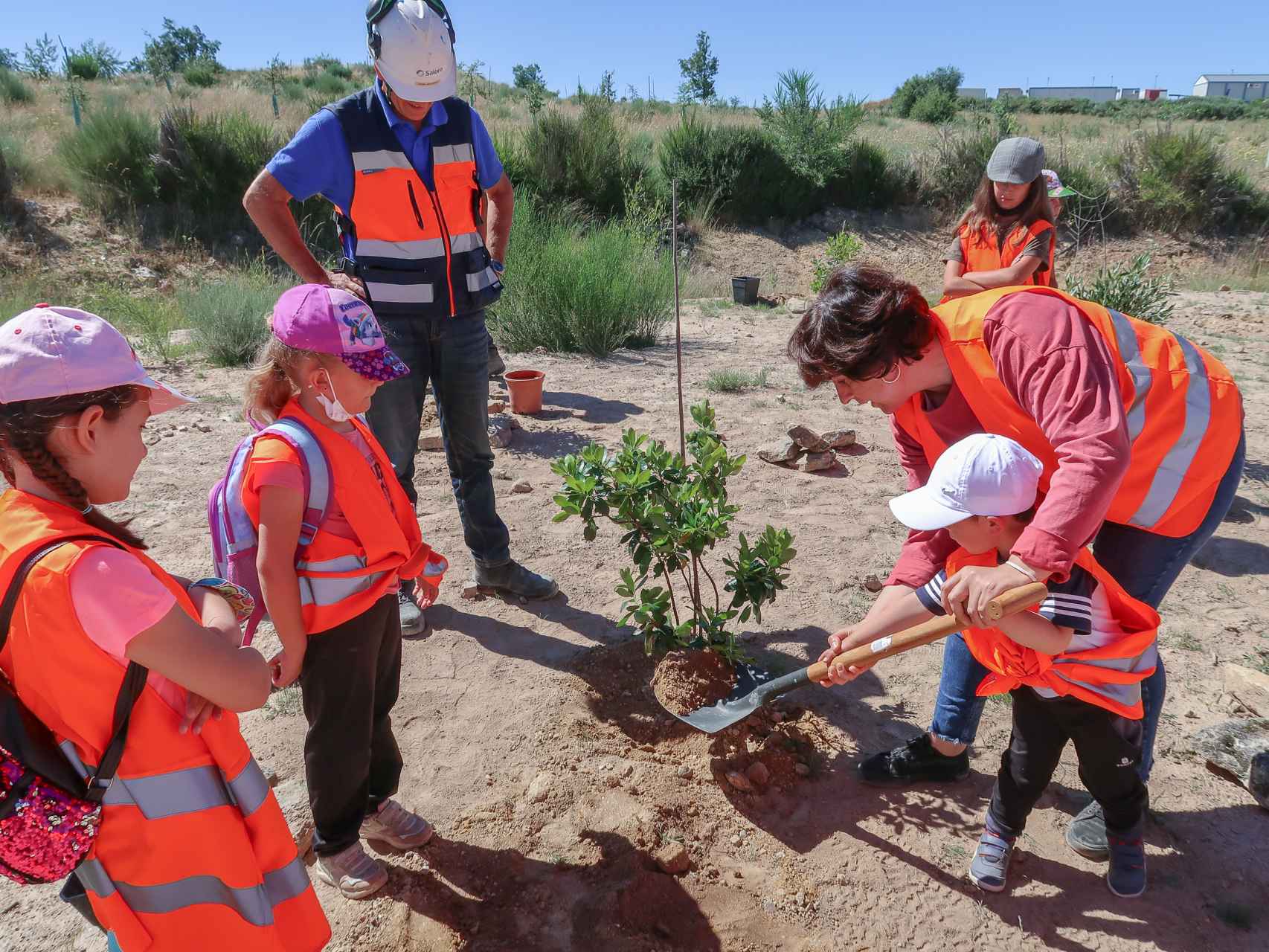 Los escolares de Barruecopardo plantan árboles en la mina de Saloro